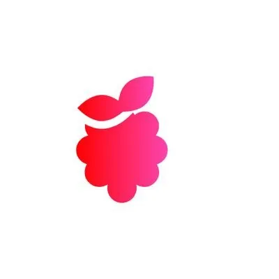 raspsys.com's icon
