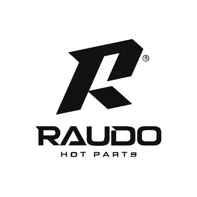 raudoparts.com's icon