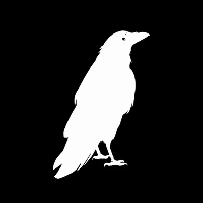 ravencybersec.com's icon