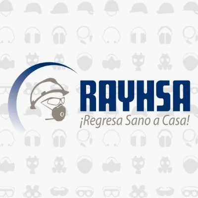 rayhsa.com.mx's icon