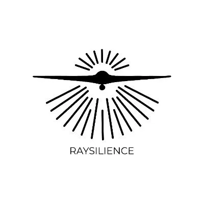 raysilience.it's icon