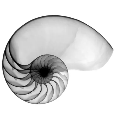 rctech.gr's icon