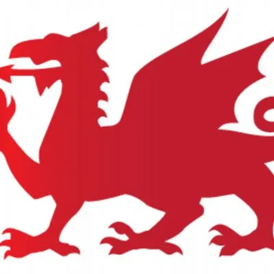 rditserver3.co.uk's icon