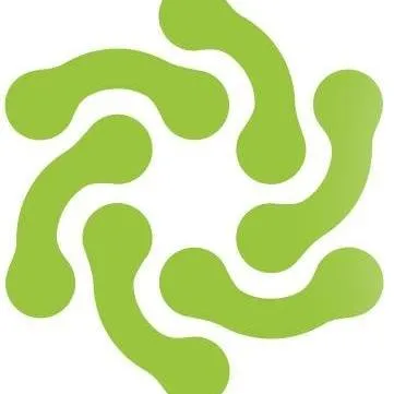 realipm.com's icon
