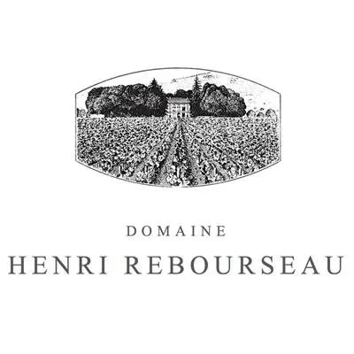 rebourseau.com's icon