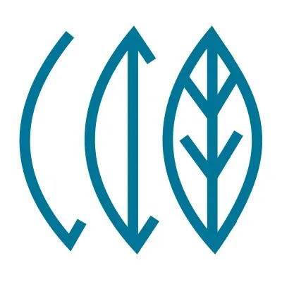 recapitalpr.com's icon