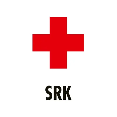 redcross.ch's icon