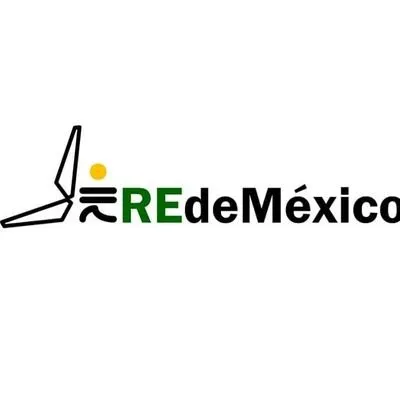 redemexico.com's icon