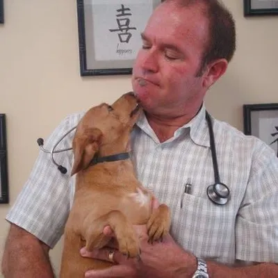 redondoshoresvet.com's icon