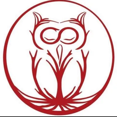 redowlcraft.ro's icon