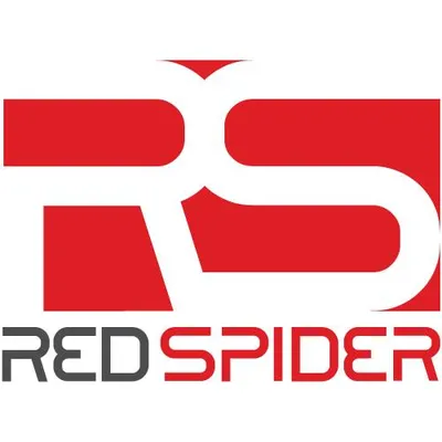 redspider-systems.com's icon
