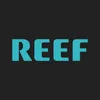 RR  Avatar