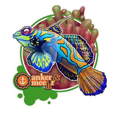 reeflex.net's icon