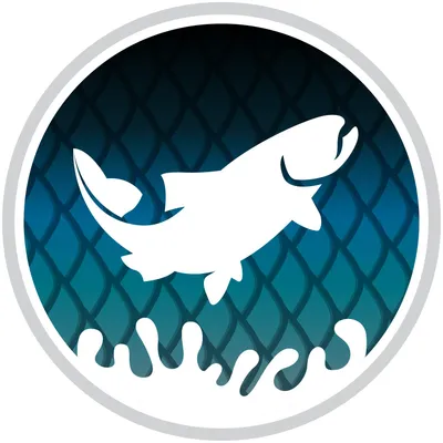 reelflyrod.com's icon