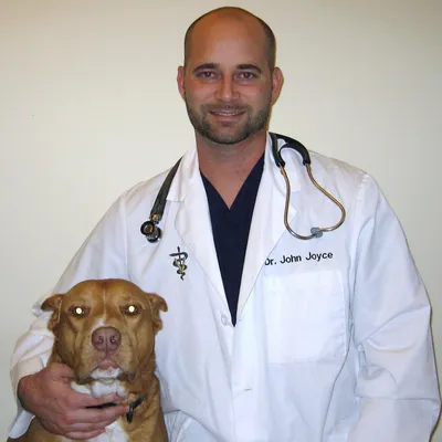 regalanimalhospital.com's icon