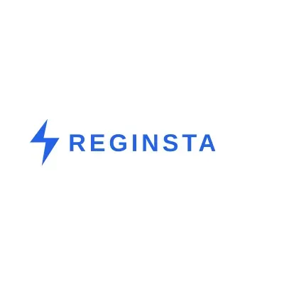reginstantly.com's icon