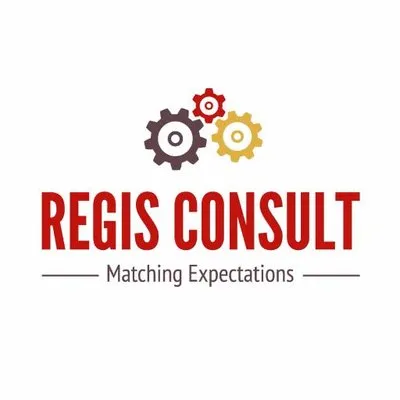 regisconsult.be's icon