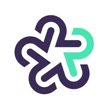 reisenbauer.solutions's icon