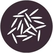 Reishunger Gmbh