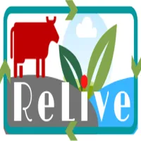 relive-era.net's icon
