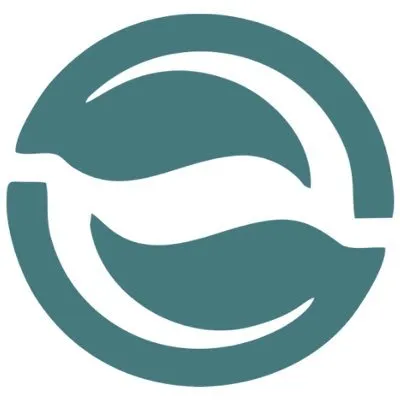 relungindonesia.org's icon