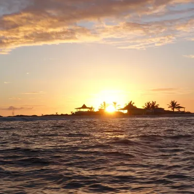 rendezvousyachts.com's icon