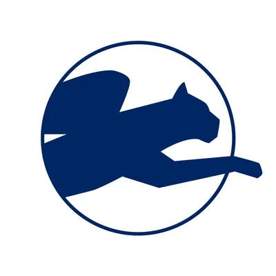 rennes-sb.fr's icon