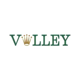 Replica Valley's brand icon