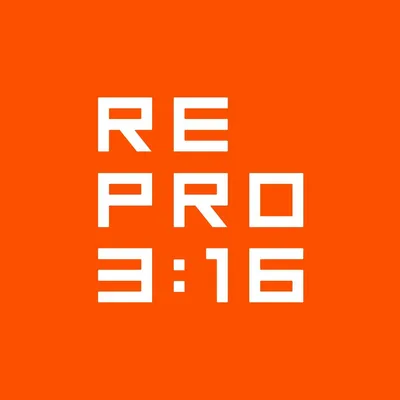 repro316.com's icon