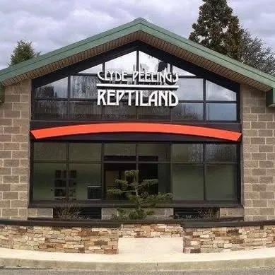 reptiland.com's icon