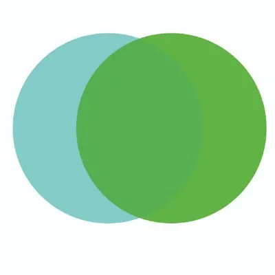 reset.org's icon