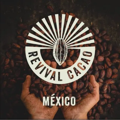 revivalcacao.com's icon