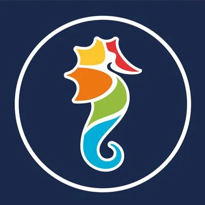 ribeirovoyages.fr's icon