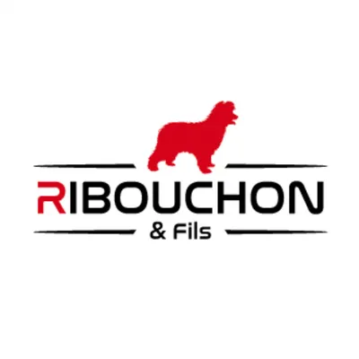ribouchonetfils.com's icon