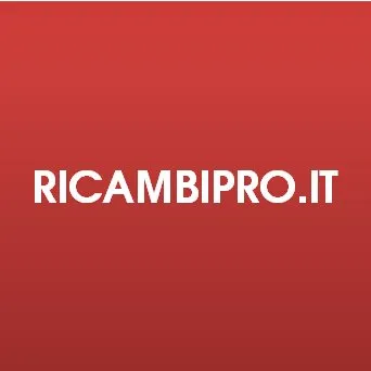 ricambipro.it's icon