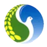 rice-protein.com's icon