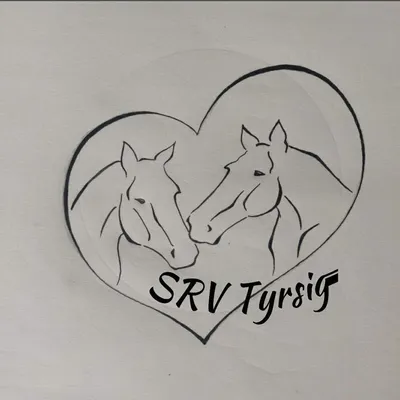 rideklubben-srv-tyrsig.dk's icon