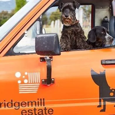 ridgemillestate.com's icon
