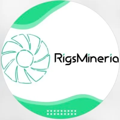 rigsmineria.com's icon