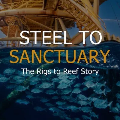 rigstoreef.com's icon