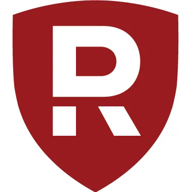rijsdijk-ict.nl's icon