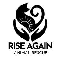 Remote Marketing and Event Planning Volunteer Opportunity Image