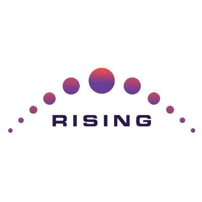 rising.com.sa's icon