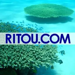ritou.com's icon