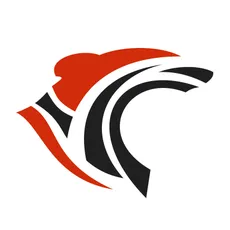 roarsolutions.com's icon