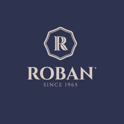 robaneg.com's icon