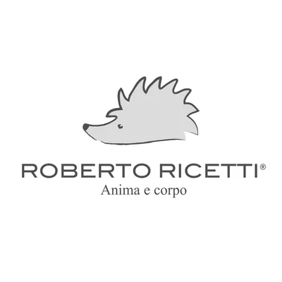 robertoricetti.it's icon