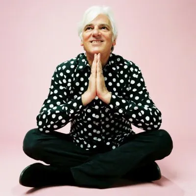 robynhitchcock.com's icon