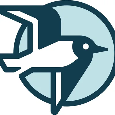 rochesterbirding.org's icon