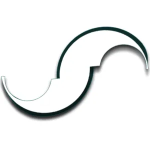 rodjstudio.fr's icon